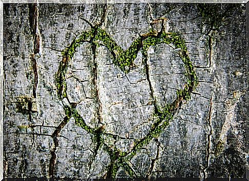 Green heart on a tree trunk