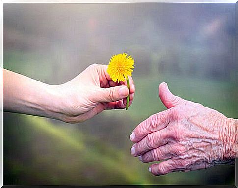 Hand giving a flower to another