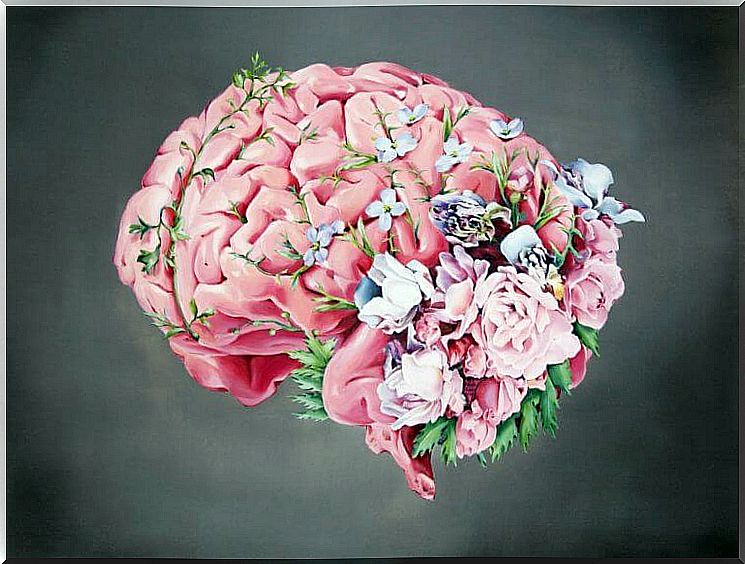 Pink brain with flowers representing the phrases of Antonio Damasio