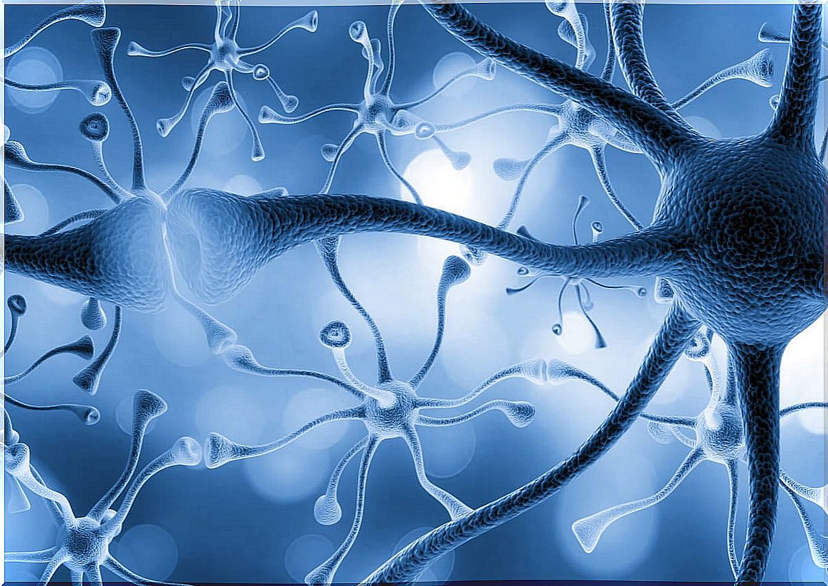 Neurons connected
