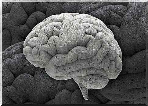Stone brain symbolizing chronic adversity