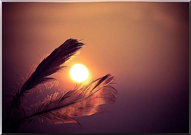 feathers surrounding the sunset sun representing the African story