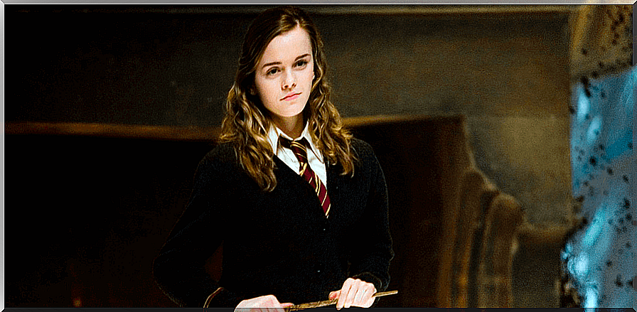 Hermione Granger, feminism in the Harry Potter saga