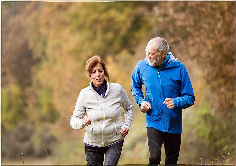 Older people doing physical exercise to increase life expectancy