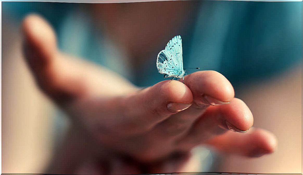 Hand with a butterfly