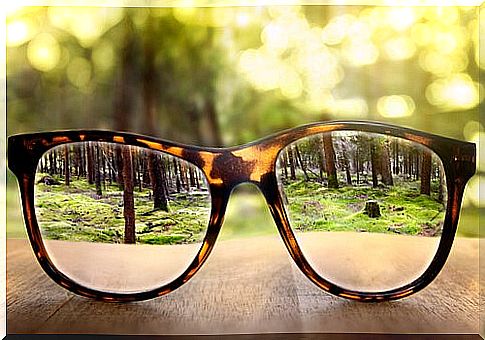glasses focusing on a forest