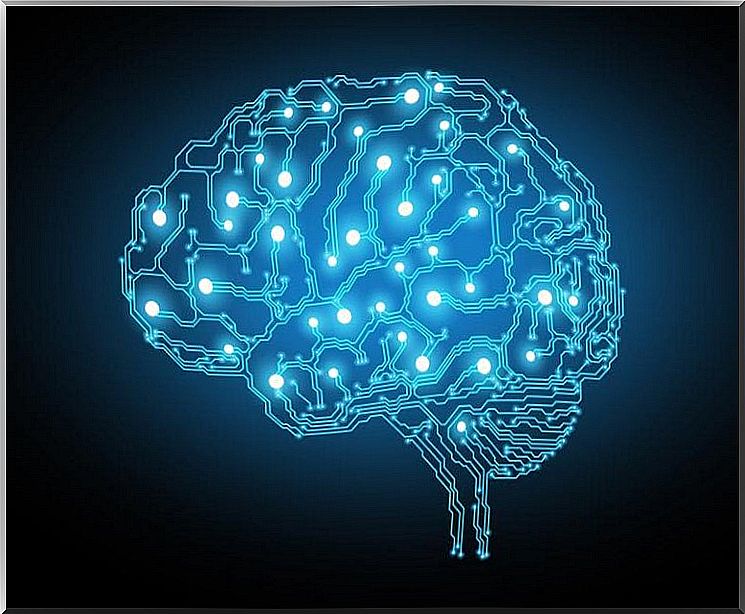 Blue-lit brain