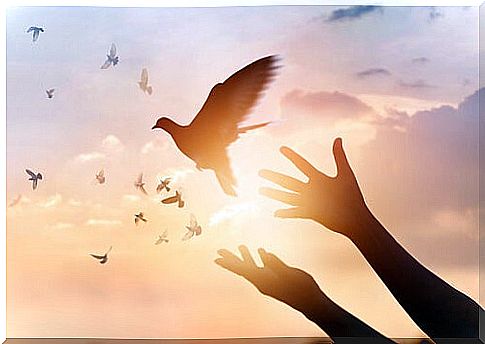 Hands releasing a bird representing the phrases of Fritz Perls