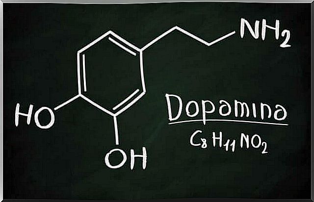 Dopamine, one of the main neurotransmitters