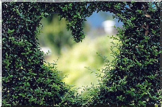 heart-shaped hedge symbolizing the meaning of life